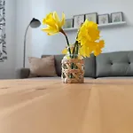 Zur Alten Korbmacherei *