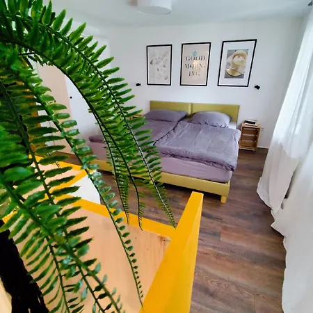Zur Alten Korbmacherei Apartment